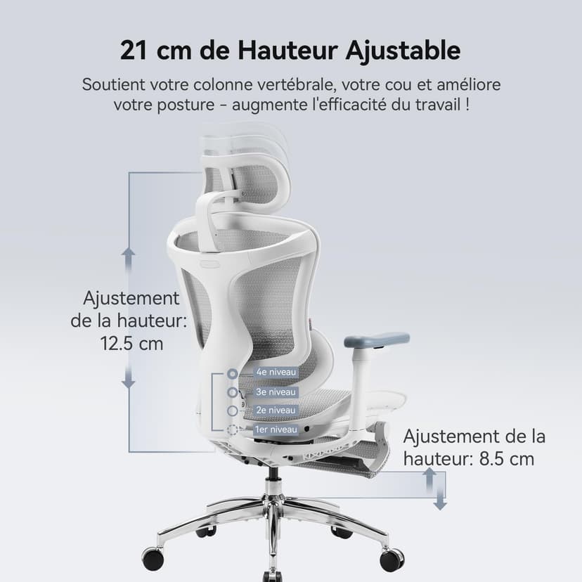 SIHOO Doro C300 Chaise de Bureau Ergonomique, avec Soutien Lombaire Dynamique, accoudoirs 3D et Dossier réglable, Repose-Pieds pour Un Confort accru, Expédiée en 2 Colis. Grigio(150 kg) - 3