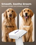 oneisall Aspirateur Poil de Chien et Chat, Aspirateur Poils d'animaux avec la Brosse, 12000Pa Puissance d'Aspiration, Elimine 99.99% des Poils d'animaux avec 4 Accessoires de Soins, 1.5L Capacité - 5