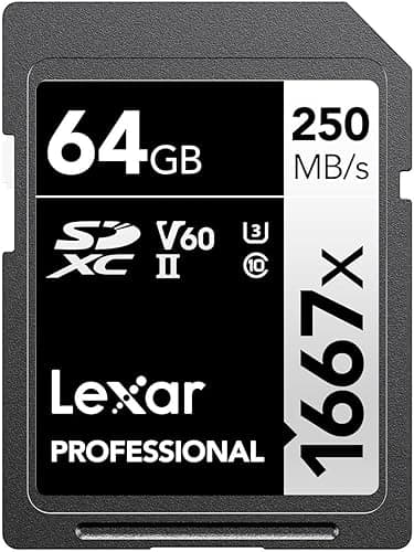 Lexar Scheda di memoria SDXC professionale da 64 GB, 1667…