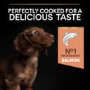 PRO PLAN Small & Mini Adult 1+ Sensitive Skin Salmon Dry Dog Food 3kg - 3
