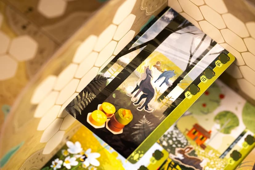 Libellud - Asmodee - Harmonies - Board Games - Family and Friends Games - Creation of Landscapes and Habitats for Animals - Strategy and Creativity - For Ages 10 and Above - French Version - 2