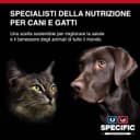 SPECIFIC Canine Adulte CID-LF Digestive Support Low Fat 12KG - 5