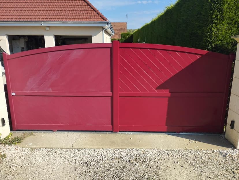 Guard Industrie Renovator Cleaner - Colour Reviving Paint, Plastic, Metal - Stain Resistant 5 Years - 250 ml Treats 10 Doors and 2 Windows - 8