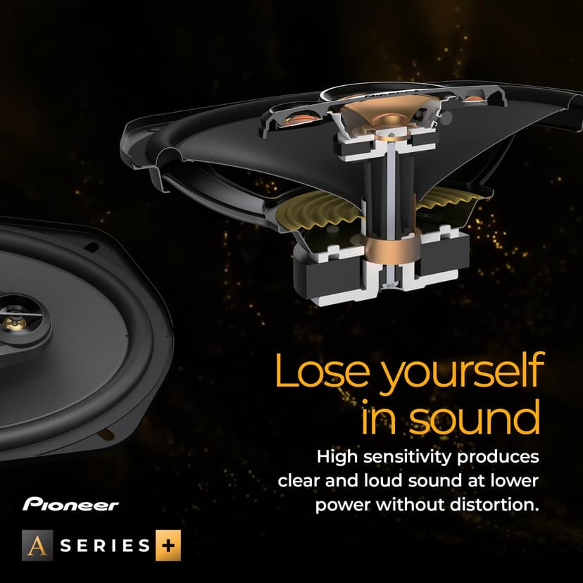 PIONEER TS-A1601C - 5