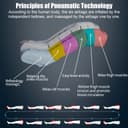 Masseur à compression d'air pour jambes pressothérapie, machine de pressothérapie pour la maison avec 6 cavités, bottes de pressothérapie jambes entières et ventre professionnel pour la circulation - 5