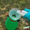 ROUNDUP Désherbant Concentré Cours, Allées & Terrasses – Format Économique 800ml – Action 2-en-1 Mauvaises Herbes & Mousses – Effets dès 1h - 4