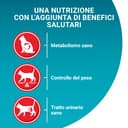 Purina One - Cat bifensis Special sterilized beef and wheat croquettes for adult cats 9.7 kg - 4