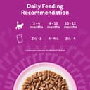 whiskas Junior Classic Selection in Gravy 84 Pouches, Wet Kitten and Cat Food, Selection of Beef, Lamb, Chicken and Poultry, Megapack (84 x 85 g) - 4