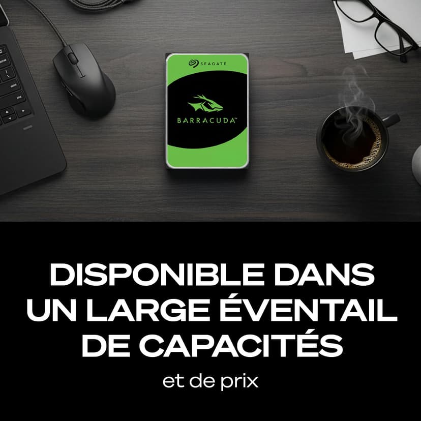 Seagate BarraCuda 4To, Disque dur interne HDD, 3.5 pouces, SATA 6 Goit/s, 5 400 tr/min, 256 Mo de mémoire cache, pour PC de bureau, Ouverture facile, Services Rescue (ST4000DMZ04) - 4