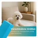 Pack of 100 Training Pads for Dogs 45 x 60 cm Dog Toilet Incontinence Bed Pad 6-Layer Design Dog Accessories Quick Drying Puppies Elderly Dogs Absorbent Changing Mat - 6
