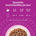 WHISKAS Aliment humide en sauce Chat junior 84x85g Les Repas Classiques - 6