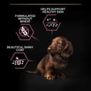 PRO PLAN Small & Mini Adult 1+ Sensitive Skin Salmon Dry Dog Food 3kg - 2