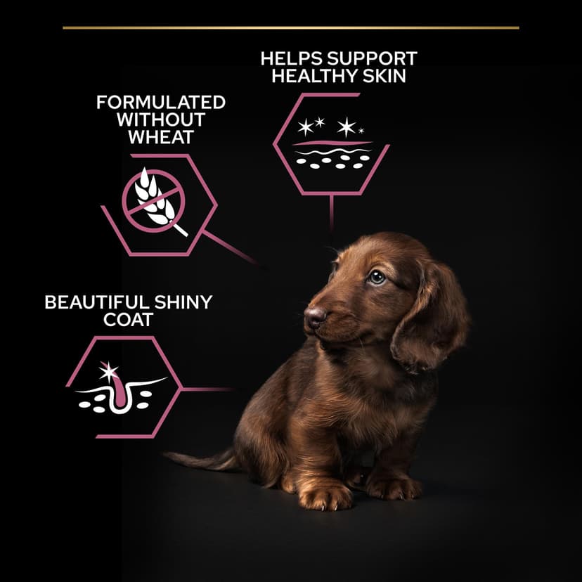 PRO PLAN Small & Mini Adult 1+ Sensitive Skin Salmon Dry Dog Food 3kg - 2