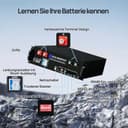 ECO-WORTHY Batterie Lithium 48V 100Ah*3 Bluetooth avec BMS 100A, LiFePO4 15,36kWh 3U pour Rack de Serveur avec Prise en Charge Can&RS485 pour système Solaire Complet, système photovoltaïque - 3