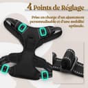 rabbitgoo Dog Harness Large Dog No Pull Pet Harness with 2 Leash Clips, Adjustable Soft Padded Pet Vest, Reflective No-Choke with Easy Control Handle for Training or Walking, Black, L - 4