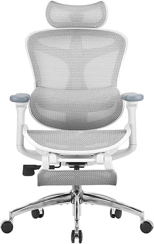 SIHOO Doro C300 Chaise de Bureau Ergonomique, avec Soutie…