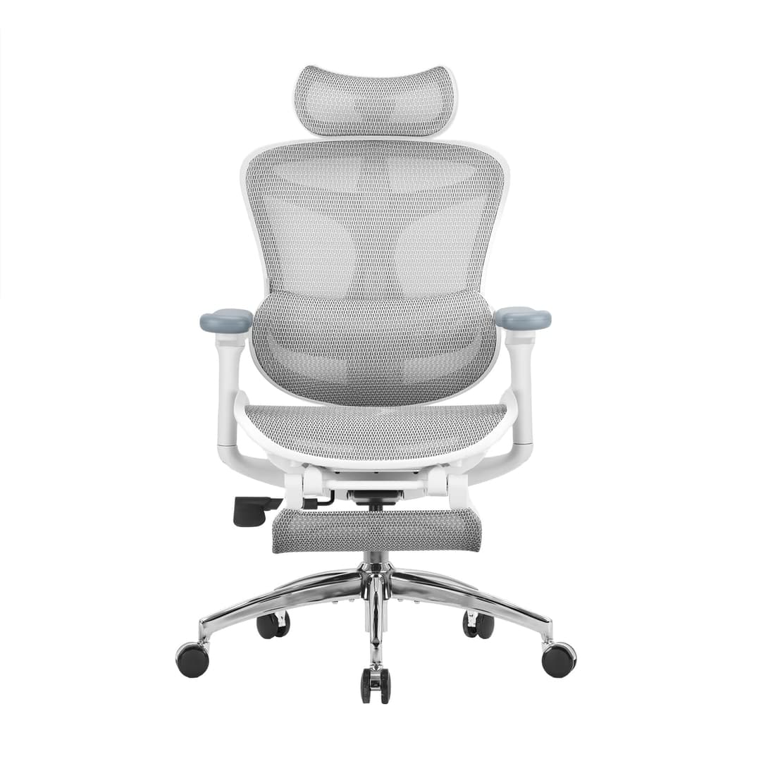SIHOO Doro C300 Chaise de Bureau Ergonomique, avec Soutie…