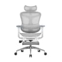SIHOO Doro C300 Chaise de Bureau Ergonomique, avec Soutien Lombaire Dynamique, accoudoirs 3D et Dossier réglable, Repose-Pieds pour Un Confort accru, Expédiée en 2 Colis. Grigio(150 kg) - 1