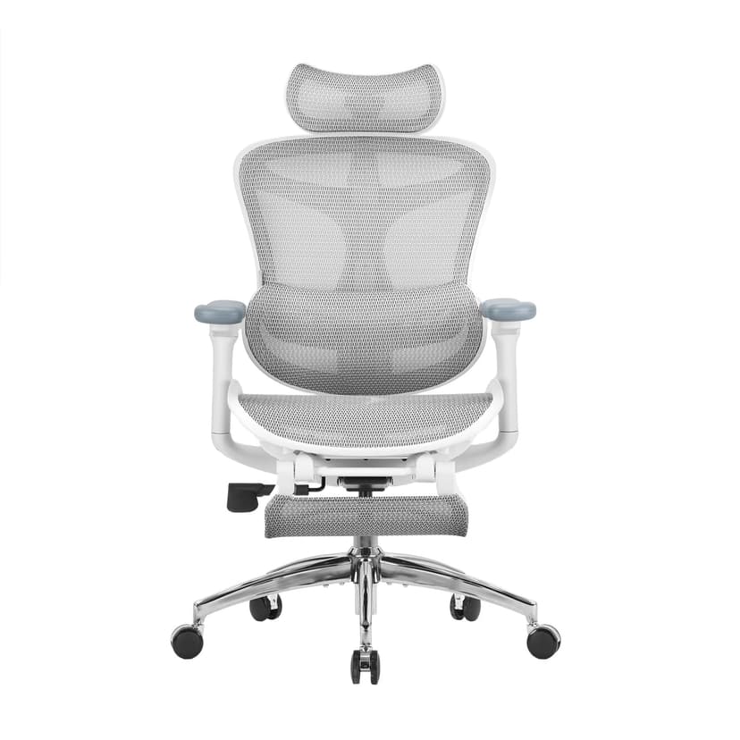 SIHOO Doro C300 Chaise de Bureau Ergonomique, avec Soutie… - 1