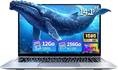 LPNAWZ Ordinateur Portable 14,1 Pouces, 12Go DDR4 RAM 256…