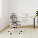SIHOO Doro C300 Chaise de Bureau Ergonomique avec Accoudoirs Ultra Doux en 3D, Soutien Lombaire Dynamique pour Chaise Bureau à Domicile, Fauteuil de Bureau avec Dossier réglable(Grigio) - 2