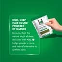 H&C Indigo Powder (Indigofera Tinctoria) - 227g Pack | For Hair Coloring - 5