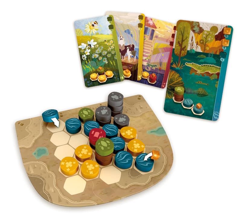 Libellud- Jeu, LIBD0020, Multicolore, coloré - Version Allemande - 2