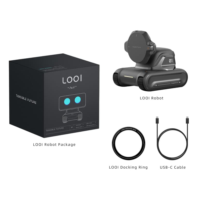 TangibleFuture LOOI Robot - 7