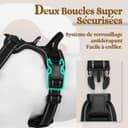 rabbitgoo Dog Harness Large Dog No Pull Pet Harness with 2 Leash Clips, Adjustable Soft Padded Pet Vest, Reflective No-Choke with Easy Control Handle for Training or Walking, Black, L - 7