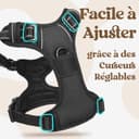 rabbitgoo Dog Harness Large Dog with Neck Release Buckle, No Pull Harness with Front Back Clips, Adjustable Soft Padded with Easy Control Handle, Reflective No-choke Pet Walking Vest, Black, L - 4