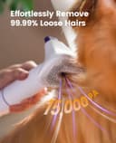 oneisall Aspirateur Poil de Chien et Chat, Aspirateur Poils d'animaux avec la Brosse, 12000Pa Puissance d'Aspiration, Elimine 99.99% des Poils d'animaux avec 4 Accessoires de Soins, 1.5L Capacité - 3