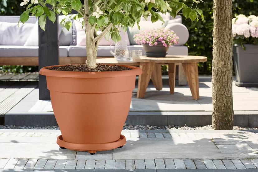 elho Universal Planttaxi 40 - Saucer for Indoor, Outdoor & Accessoiries - Ø 38.2 x H 6.5 cm - Brown/Terra - 5