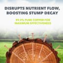 Copper Tree Stump Killer/Solid Copper Clout Nails - Very Large Sizes Available (40 x 65mm) - 4