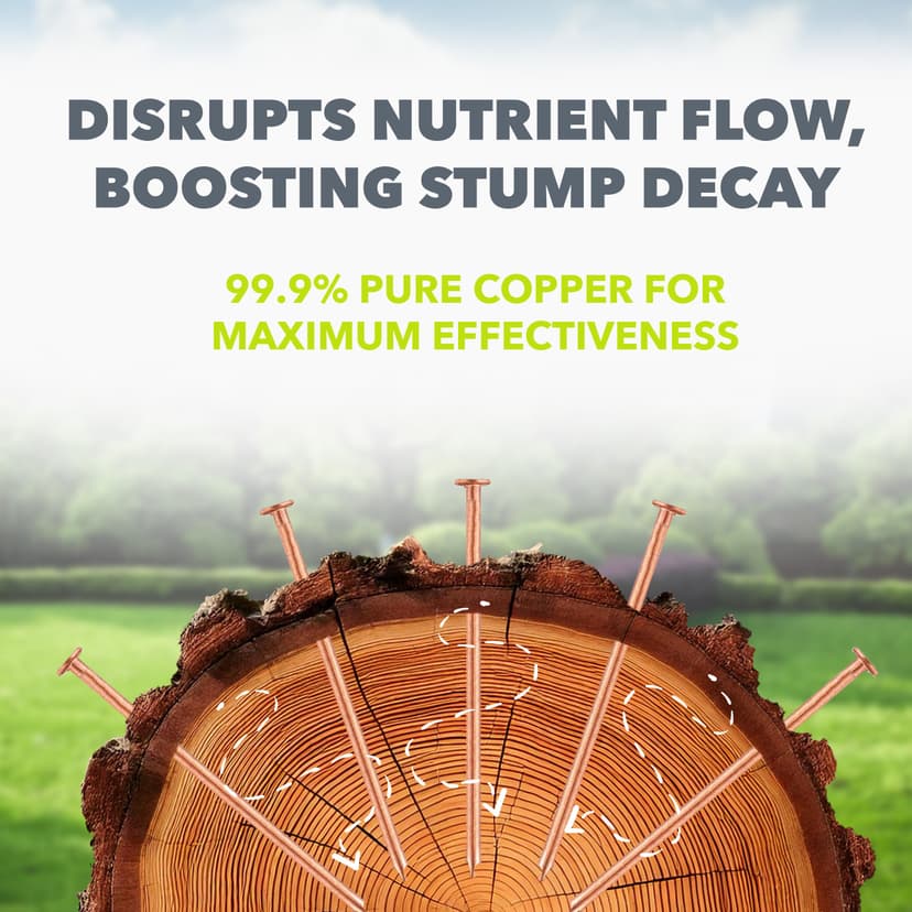 Copper Tree Stump Killer/Solid Copper Clout Nails - Very Large Sizes Available (40 x 65mm) - 4