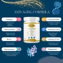 COLLAGÈNE HYDROLYSÉ COMPLEX 9 EN 1 | Élastine marine + Acide hyaluronique + Coenzyme Q10 + Glucosamine + Biotine + Vitamines C & D + Magnésium | Pour les articulations et la peau | 420g goût vanille | - 2