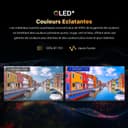 Metz 40 Pouces (100 cm) Smart TV FHD, QLED, LED Television Google Tele HDR 10 Dolby Audio Bluetooth 5,1 EyeCare Tuner DVB-T/T2/C/S/S2 CI+ (40MQF7000Z) - 3