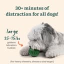 WOOF Pupsicle and Treat Tray - Long-Lasting Fillable Treat Toy and Silicone Molds for Dogs - Reusable, Dishwasher Safe - For Large Dogs 25-75 lbs - 4