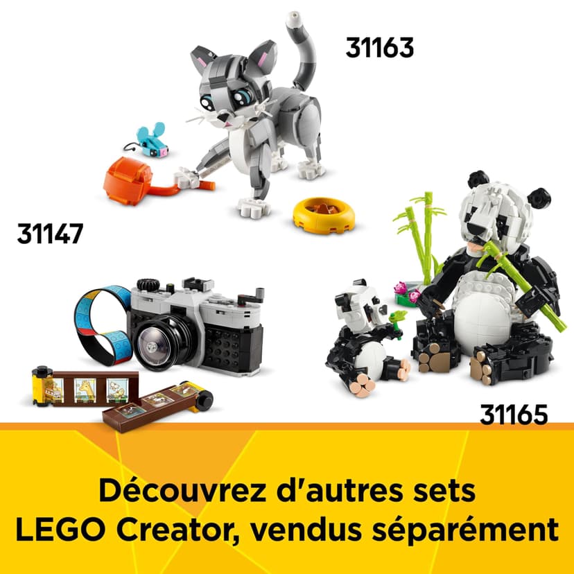 LEGO Creator 3-en-1 La Machine à Écrire avec des Fleurs - Jouet de Construction Se Transformant en Maquette de Keytar ou en Pot de Fleurs - Cadeau d'anniversaire Original Fille ou Garçon 8 Ans 31169 - 7