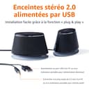 Amazon Basics Haut-parleurs stéréo 2.0 pour PC ou ordinateur portable, entrée auxiliaire 3,5 mm, alimentation USB, 1 paire, noir - 2