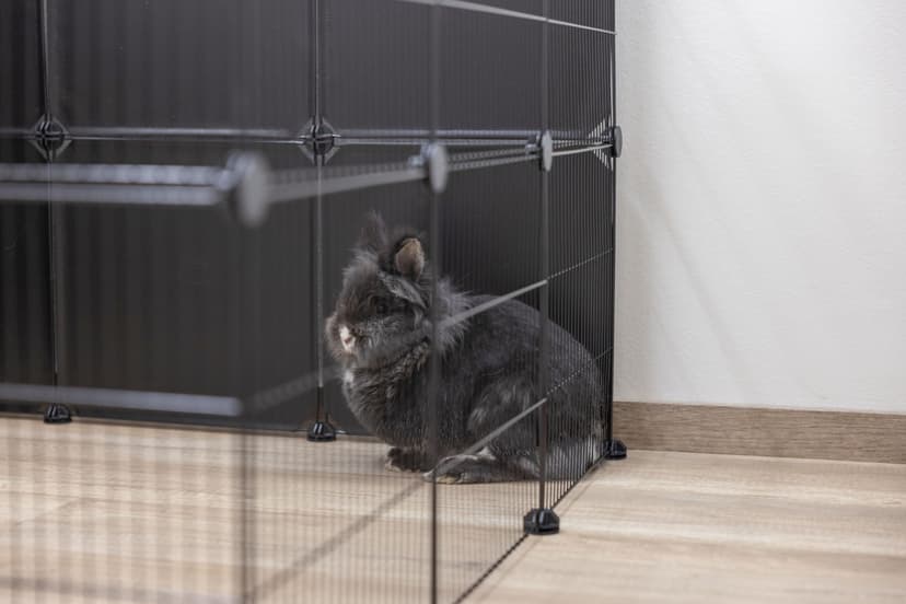 Kerbl Pet Hopsi Outdoor Enclosure 12x Grid Elements 35 x 35 cm - 9