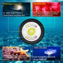 Wurkkos DL08 Underwater Diving Lamp, 3600 Lumens, Range of 274 Metres, Red Light and UV Diving Light, Gradual Dimming, IPX8 CRI 90, for Underwater Photography - 2