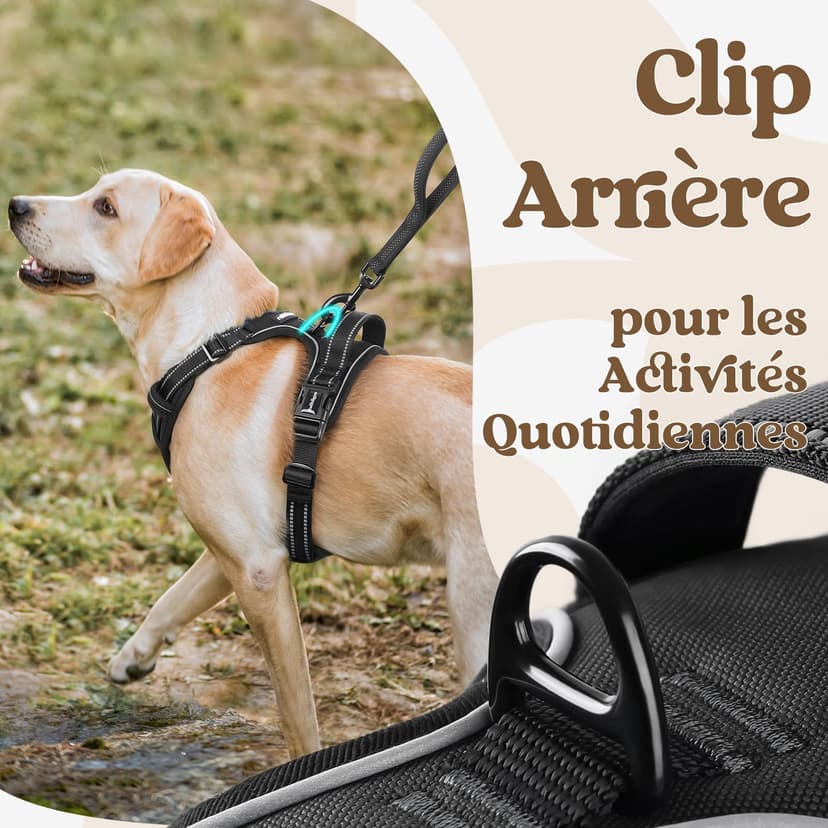 rabbitgoo Dog Harness Large Dog with Neck Release Buckle, No Pull Harness with Front Back Clips, Adjustable Soft Padded with Easy Control Handle, Reflective No-choke Pet Walking Vest, Black, L - 7