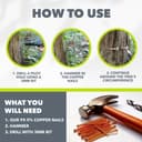 Copper Tree Stump Killer/Solid Copper Clout Nails - Very Large Sizes Available (40 x 65mm) - 3