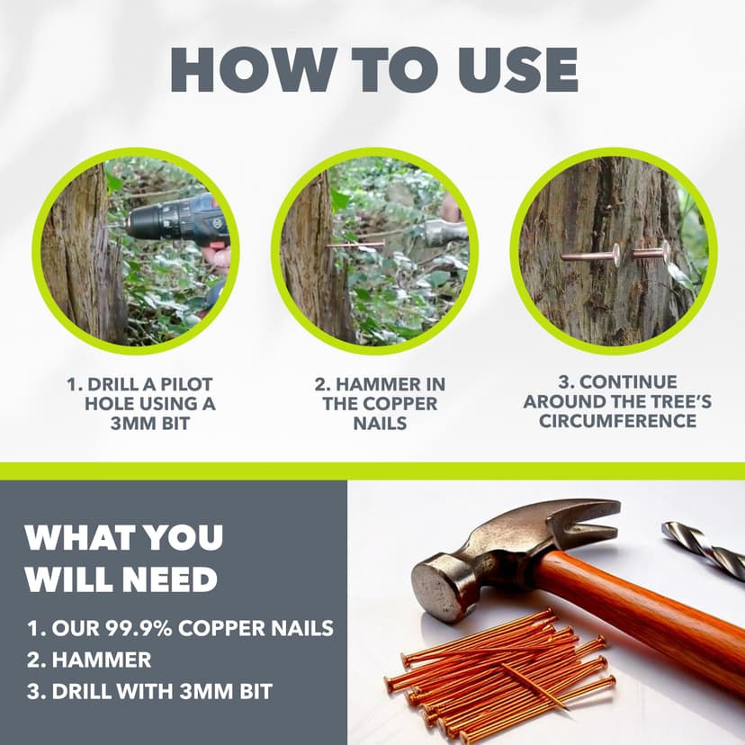 Copper Tree Stump Killer/Solid Copper Clout Nails - Very Large Sizes Available (40 x 65mm) - 3