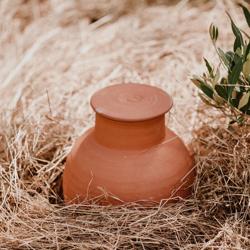 Olla Clay Vessel, Plant Watering Device, Terracotta Vacation Plant Waterer, Self Watering Device for Outdoor Plants 5L - 6