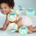 Pampers Couches Premium Protection Taille 3 (6-10 kg), 204 Couches Bébé, Pack 1 Mois, Notre N°1 Pour La Protection Des Peaux Sensibles - 3