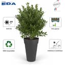 EDA Plastiques Toscane 13637 G. ANT SX2 Vase 20 x 80 cm XXL - 5