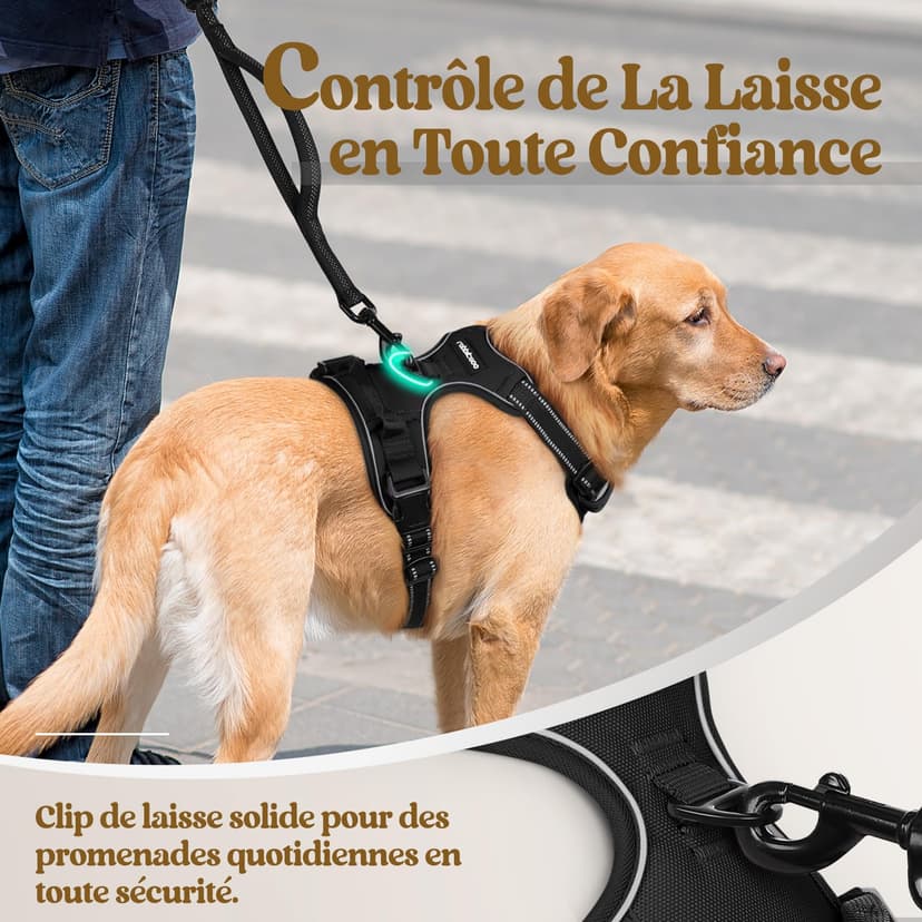 rabbitgoo Dog Harness Large Dog No Pull Pet Harness with 2 Leash Clips, Adjustable Soft Padded Pet Vest, Reflective No-Choke with Easy Control Handle for Training or Walking, Black, L - 6