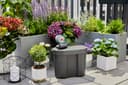 Gardena solar-powered AquaBloom irrigation set with water tank: Solar-powered irrigation set for up to 20 potted plants, control unit with 14 irrigation programmes (13301-20) - 3