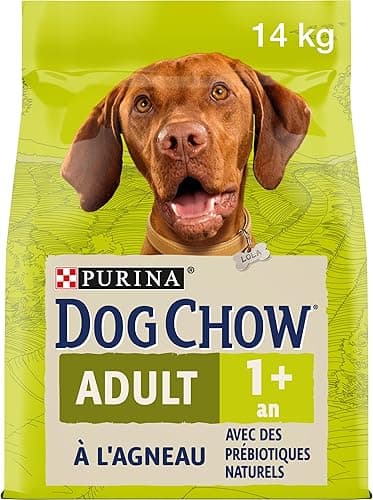 PURINA DOG CHOW | Adulte | Croquettes pour Chien de Grand…